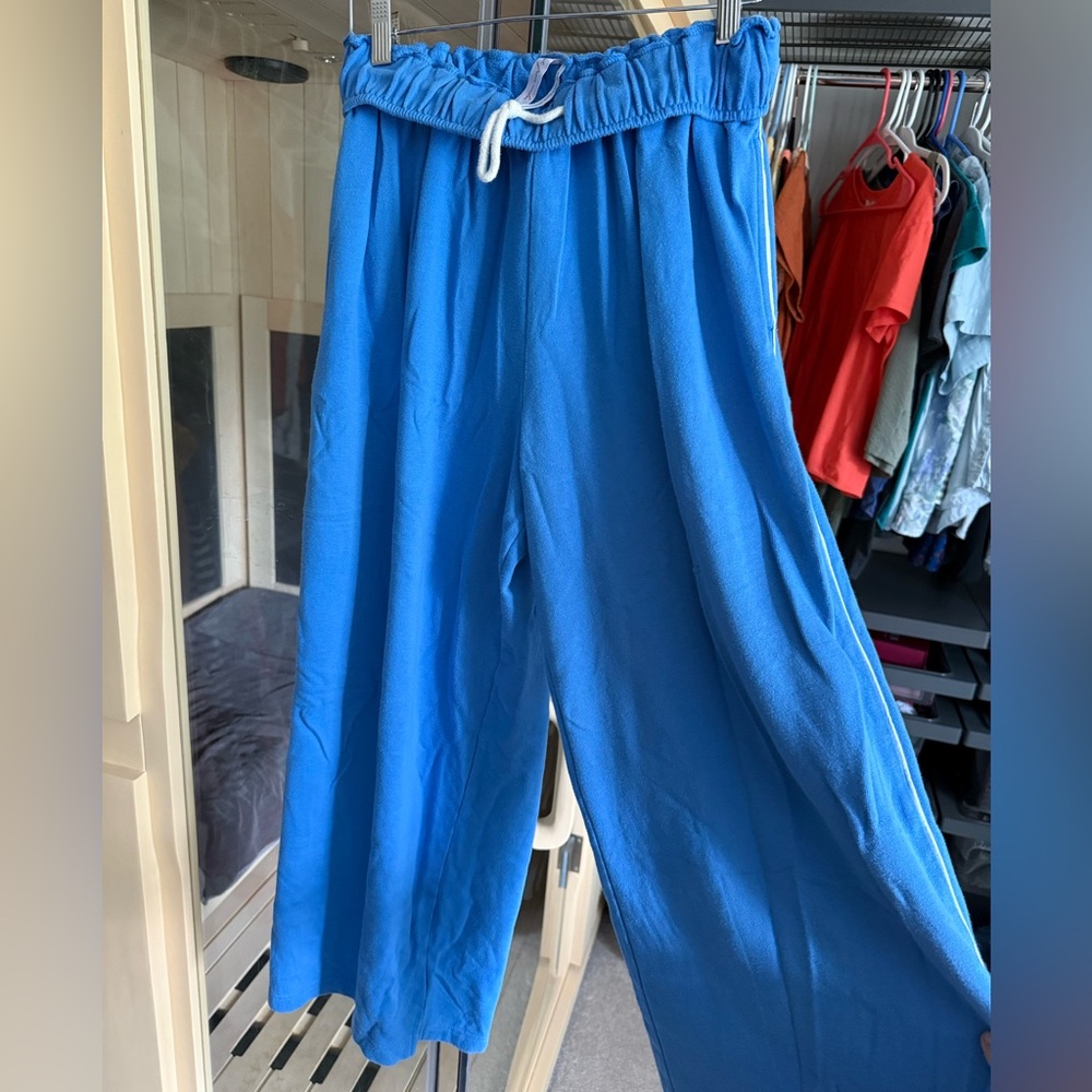 Urban Outfitters Blue Sweat Pants